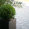 donice-z-technorattanu-1-jpg