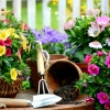 wiosenna-dekoracja-balkonu-jpg