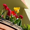 balkon 2